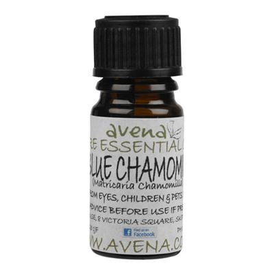 Chamomile German (Blue) Essential Oil (Matricaria chamomilla)